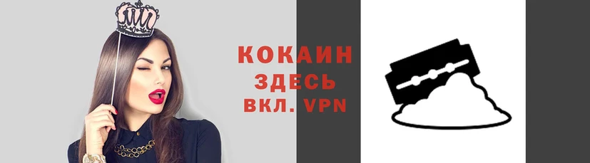 тгк Алзамай